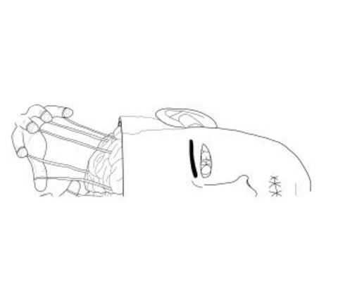 Popsicle Shape