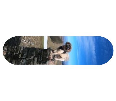 Popsicle Shape