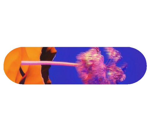 Popsicle Shape