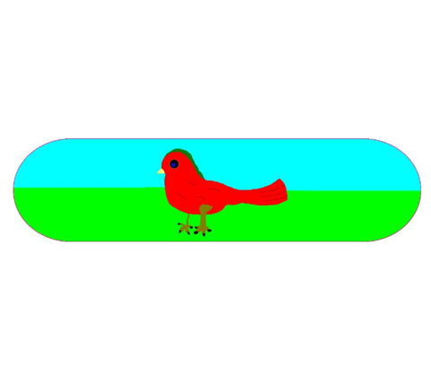 Popsicle Shape