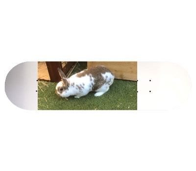Popsicle Shape