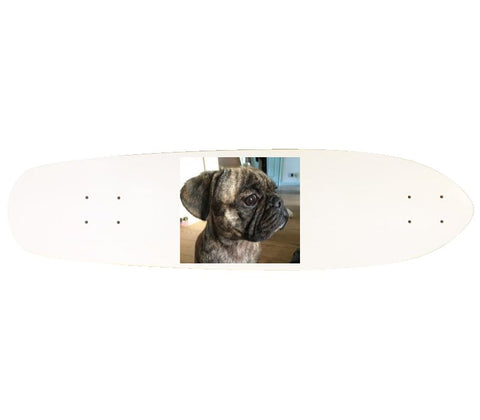 Cruiser 8.25