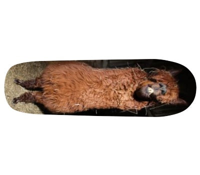 Pool Bomber Shape