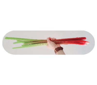 Popsicle Shape