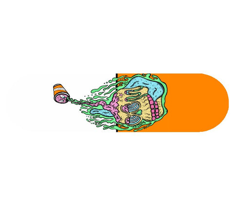 Popsicle Shape