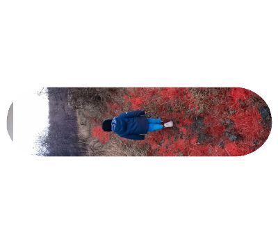 Popsicle Shape