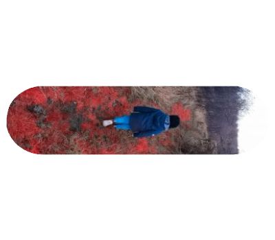 Popsicle Shape