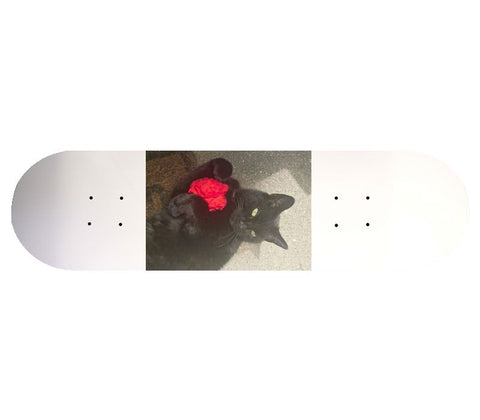Popsicle Shape