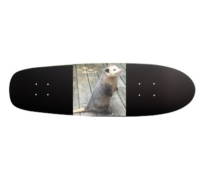 Cruiser Shape
