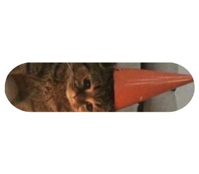 Popsicle Shape