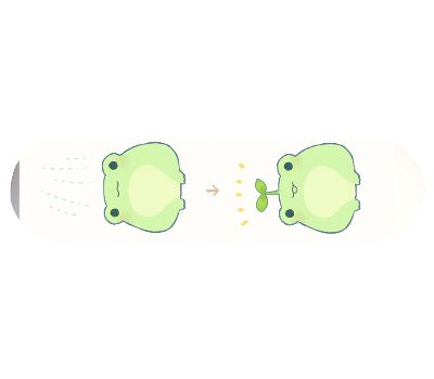 Popsicle Shape